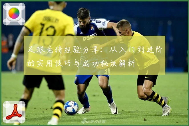 足球竞猜经验分享：从入门到进阶的实用技巧与成功秘诀解析