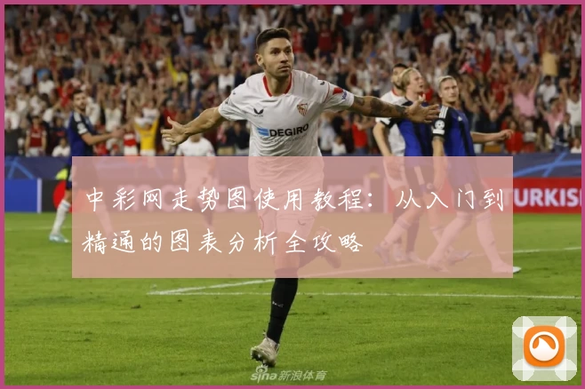 中彩网走势图使用教程：从入门到精通的图表分析全攻略