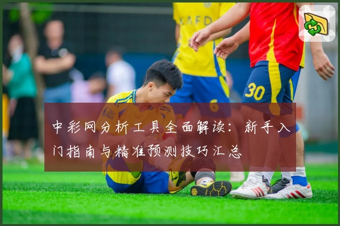 中彩网分析工具全面解读：新手入门指南与精准预测技巧汇总
