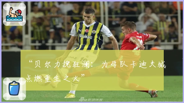 “贝尔力挽狂澜：为母队卡迪夫城点燃重生之火”