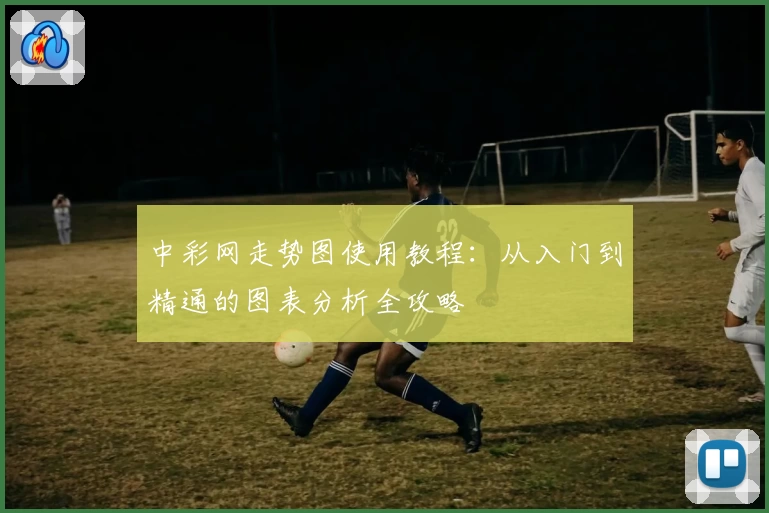 中彩网走势图使用教程：从入门到精通的图表分析全攻略